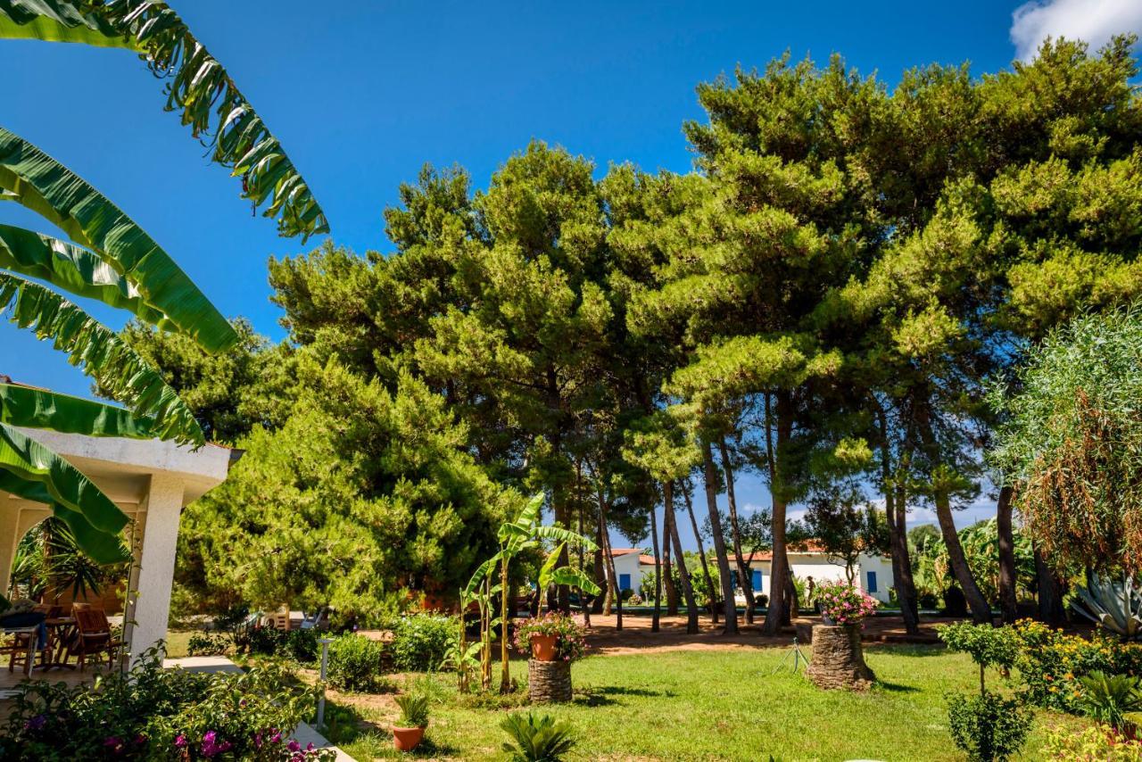 La Conchiglia Resort&Spa Capo Vaticano Esterno foto